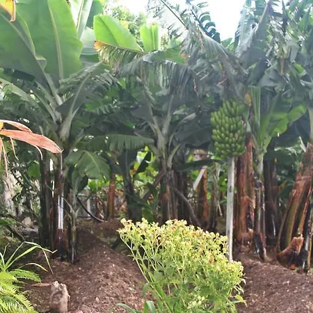 Semesterbostad Catanho *