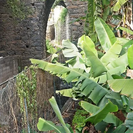 Catanho