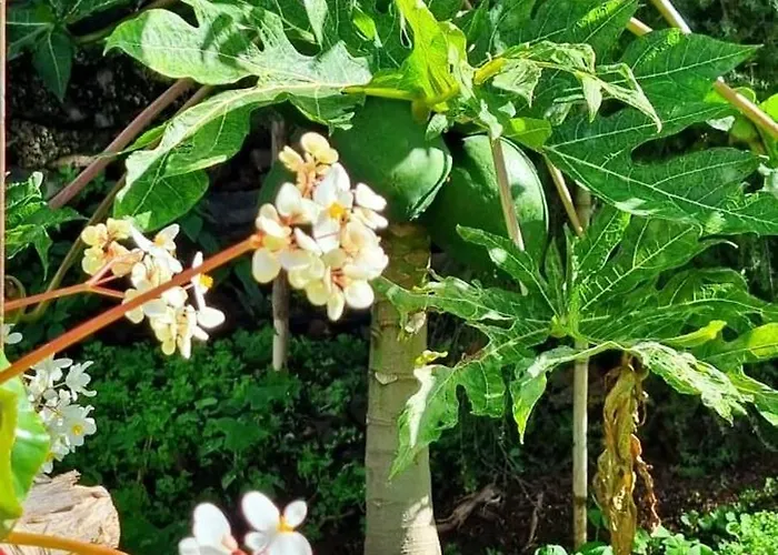 Catanho Prázdninový dům