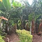 度假居 Catanho *