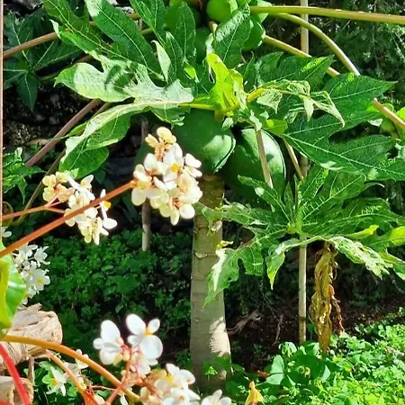 Catanho Holiday home