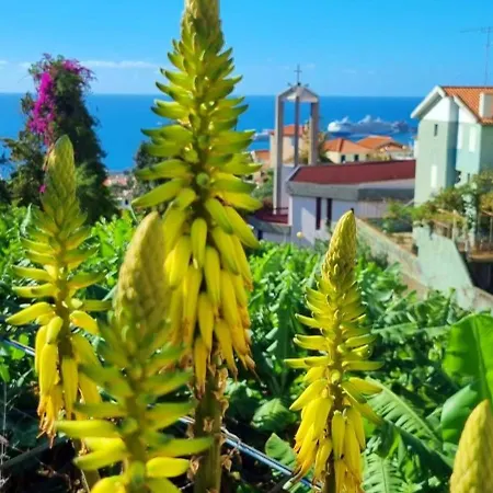 Holiday home Catanho