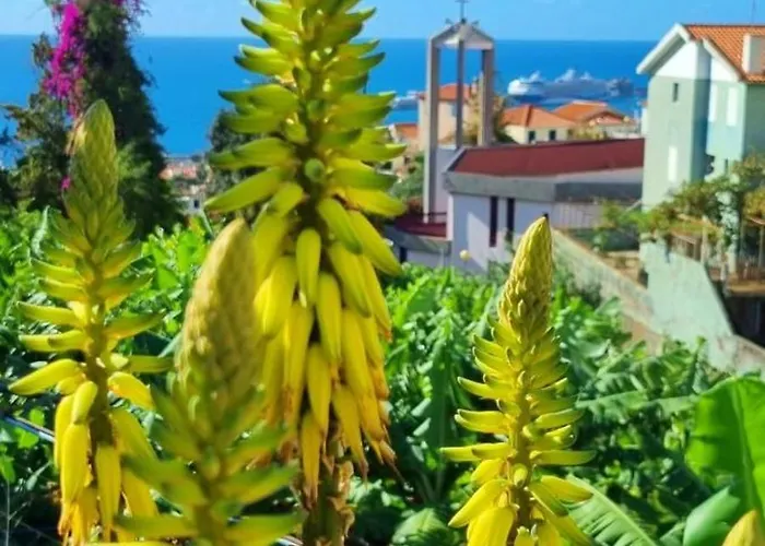 Casa vacanze Catanho