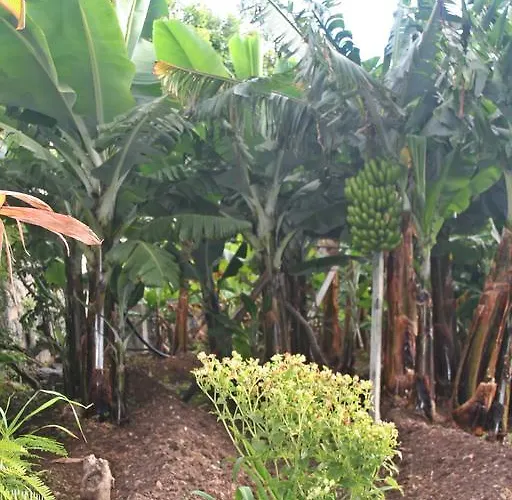 Ferienhaus Catanho *